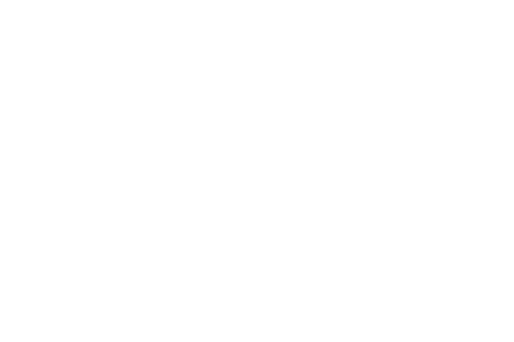 Ostroški logo